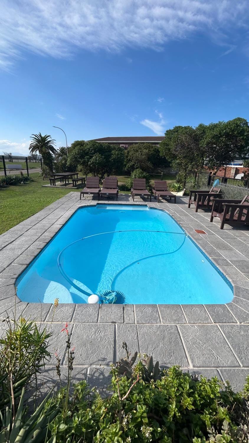 Natural landscape, Garden, Garden view, Pool view, Swimming pool, sunbed