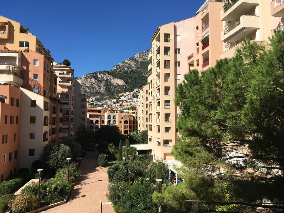 Garden, Mountain view