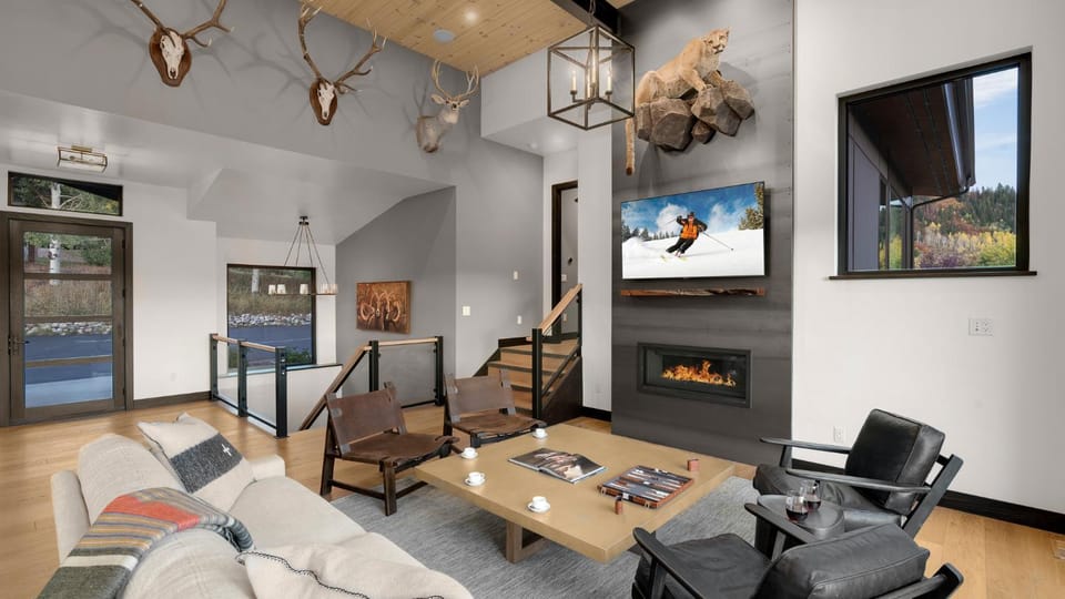 TV and multimedia, fireplace, furniture