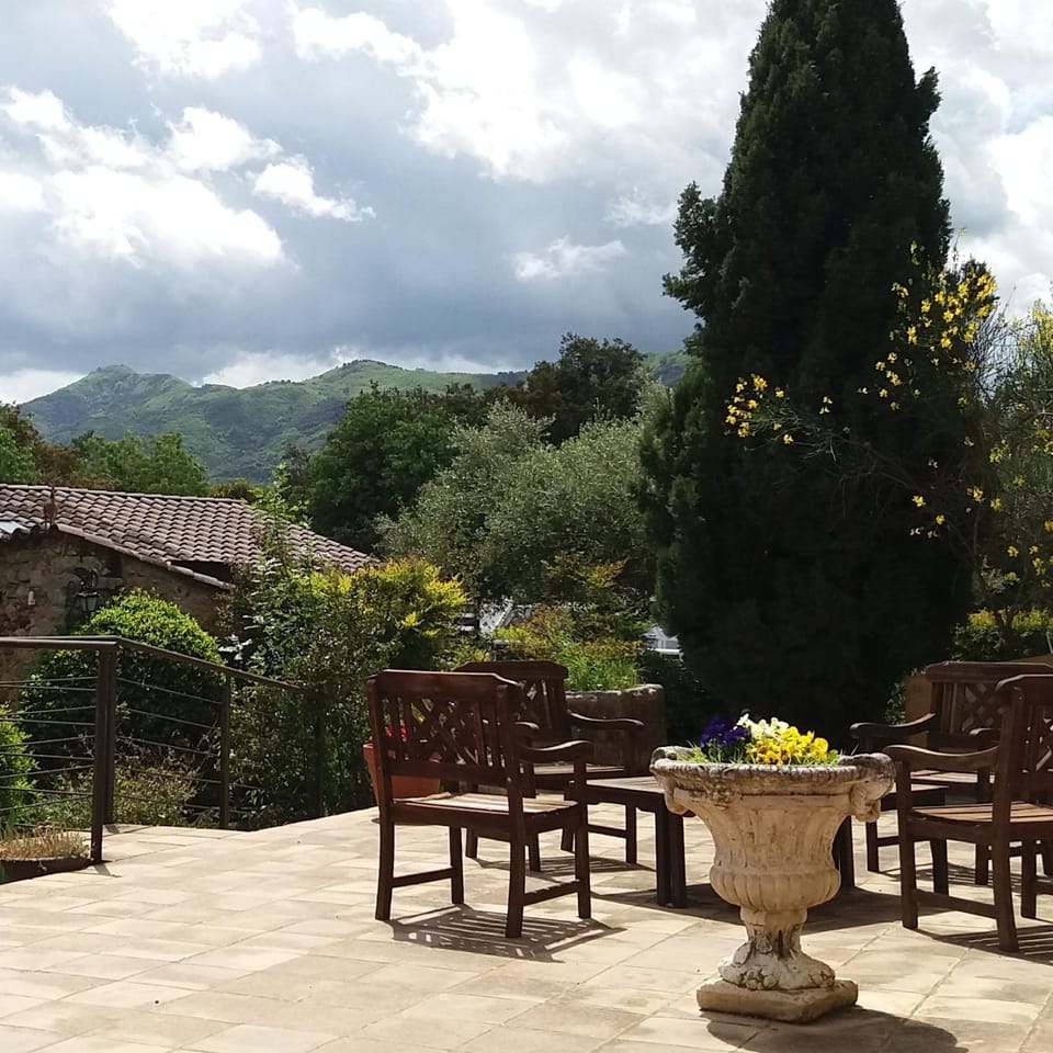 Garden, Garden view, Mountain view