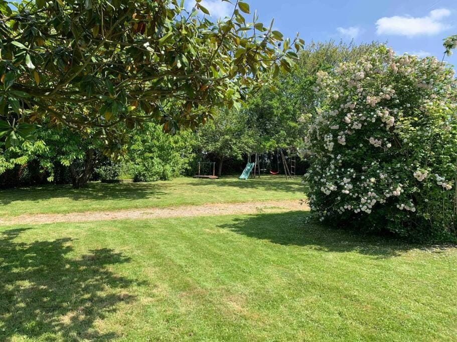Garden view