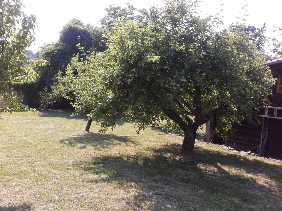 A fine 2 bedroom stone house in Emila House in Emilia-Romagna