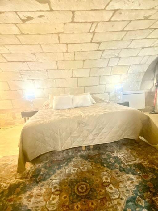 Hotel Robin Quantin in the heart of Old Tours Apartment in Tours