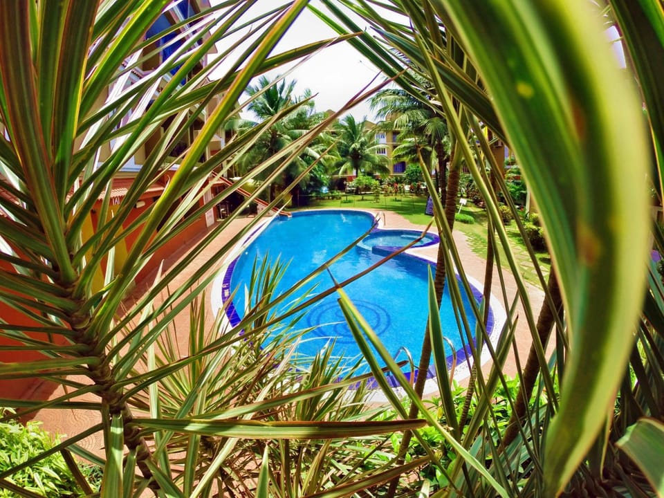 Garden, Garden view, Pool view, Swimming pool
