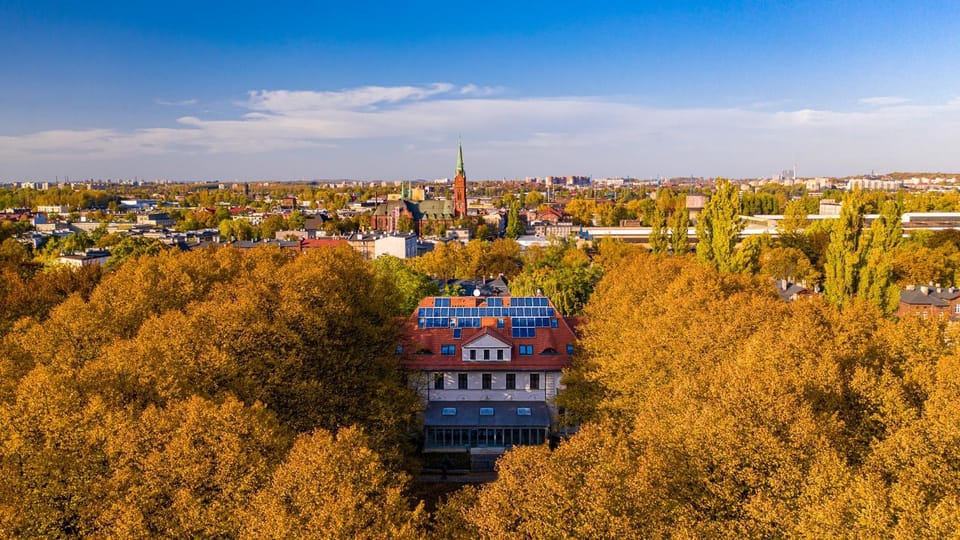 Property building, Day, Neighbourhood, Natural landscape, Bird's eye view, Autumn, City view, Location
