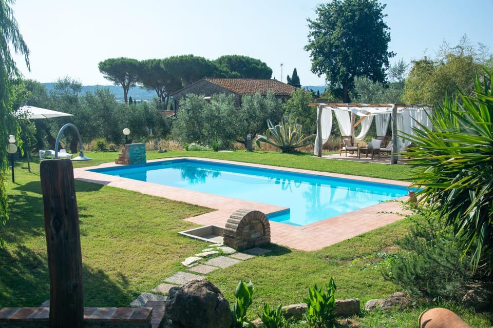 Day, Garden, Garden view, Swimming pool, sunbed