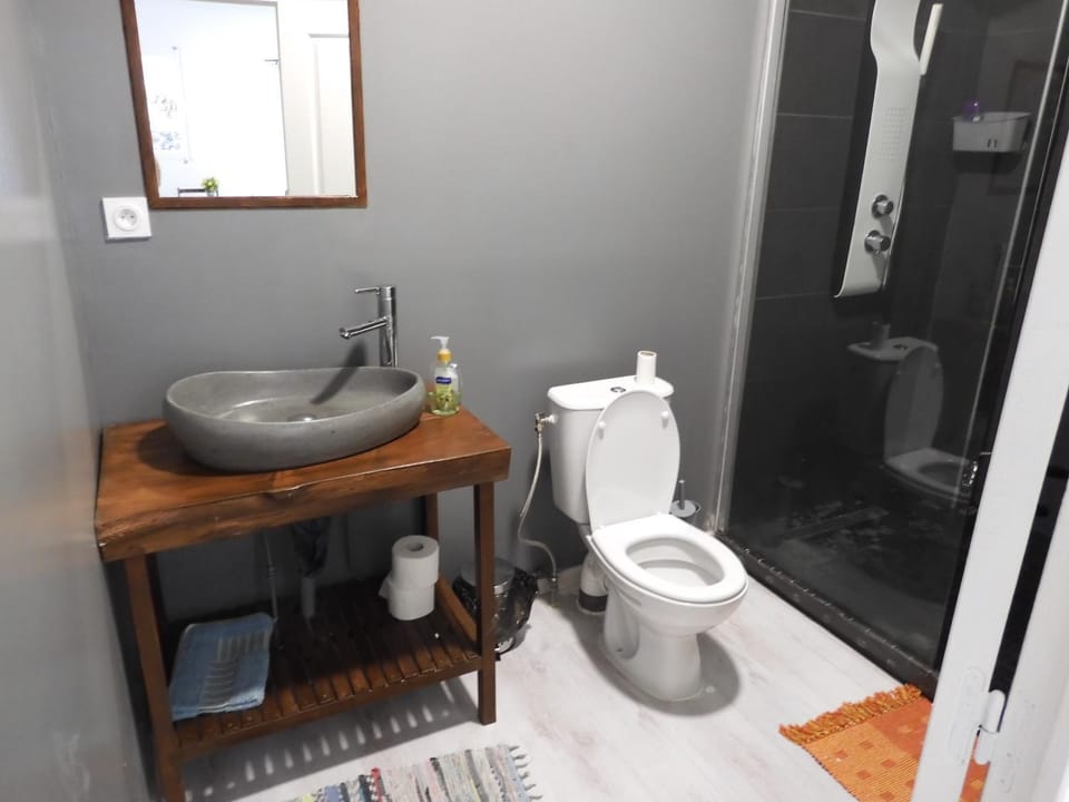 studio meublé près de la mare à joncs Apartment in Réunion