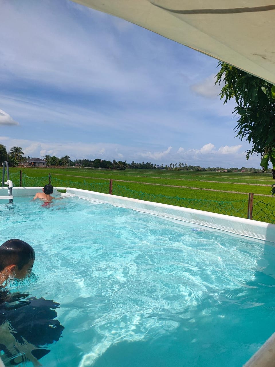 Natural landscape, Swimming pool