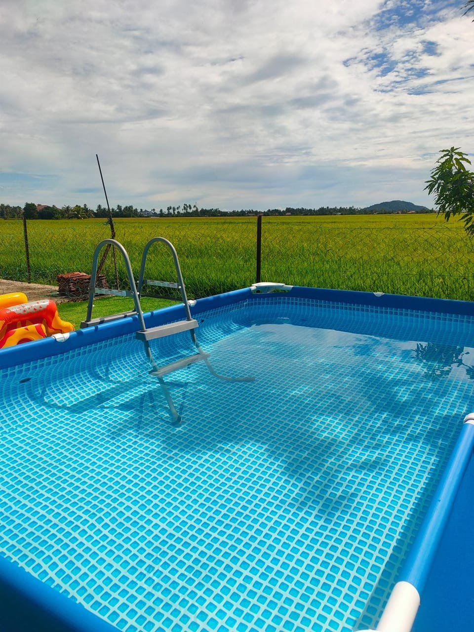 Natural landscape, Swimming pool