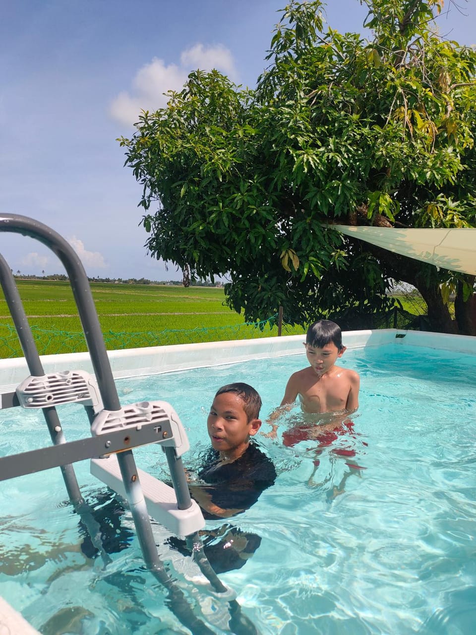 Swimming pool