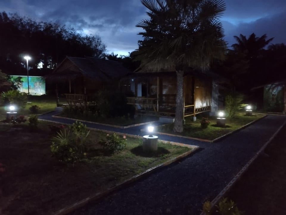 Night, Garden view