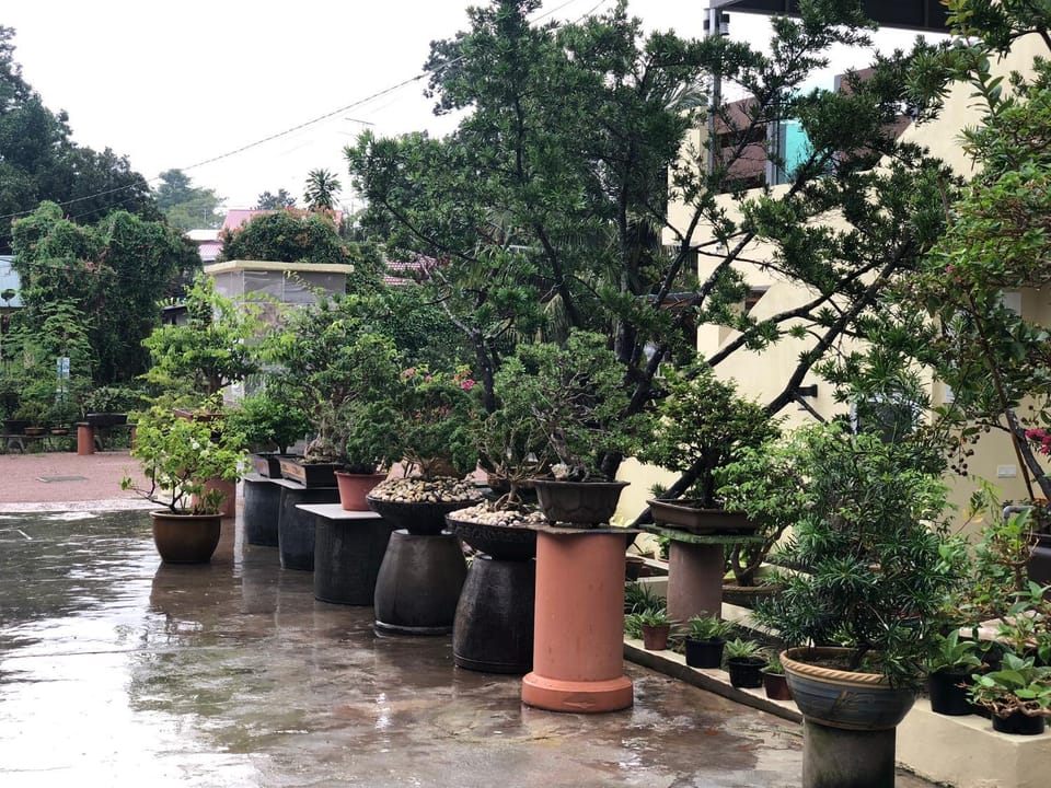 Garden, Garden view
