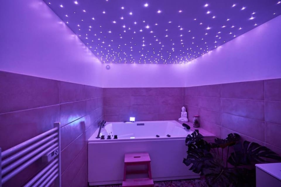 L'Eden d'Aphrodite Apartment in Grenoble