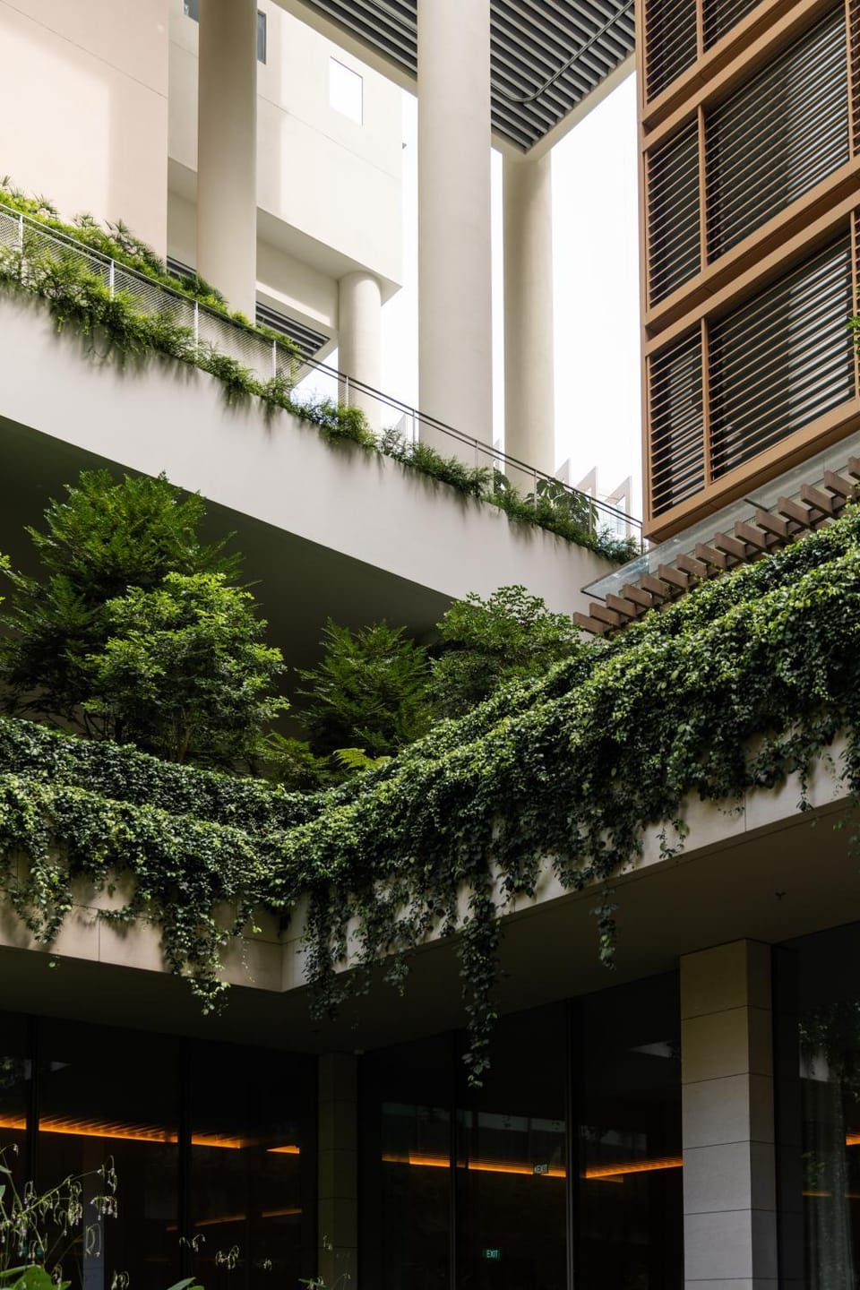 Garden, Inner courtyard view