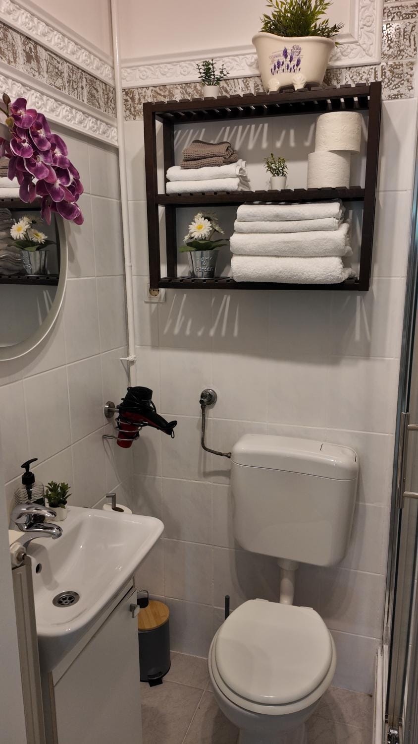 Toilet, Bathroom, towels