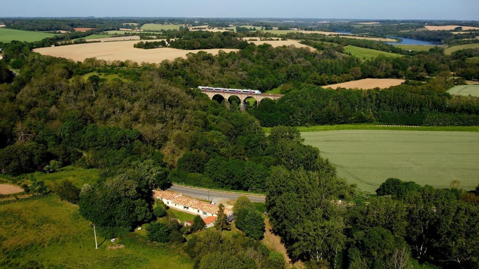 Bird's eye view, Garden