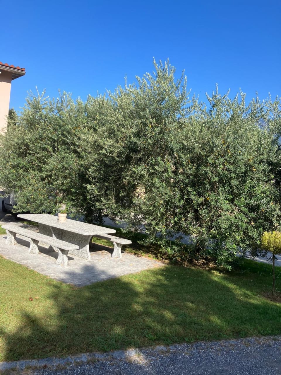 RESIDENZA GIOVANNI Apartment in Canton of Ticino