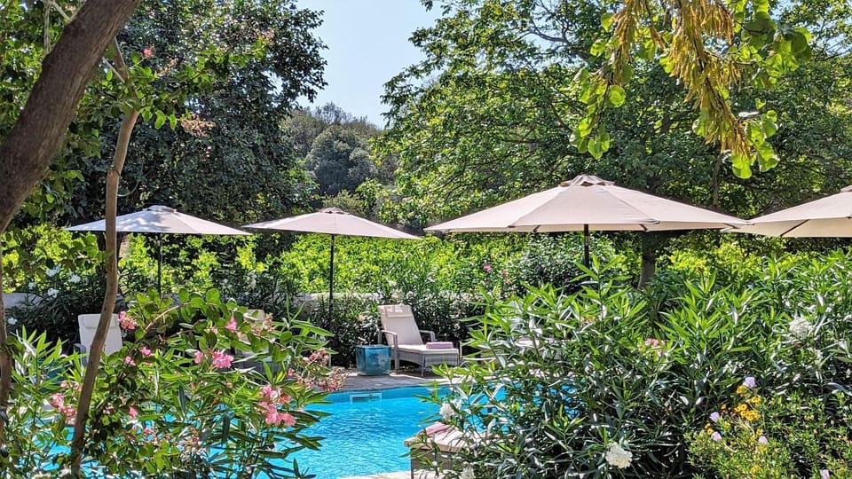 Natural landscape, Garden view, Pool view, Swimming pool, sunbed