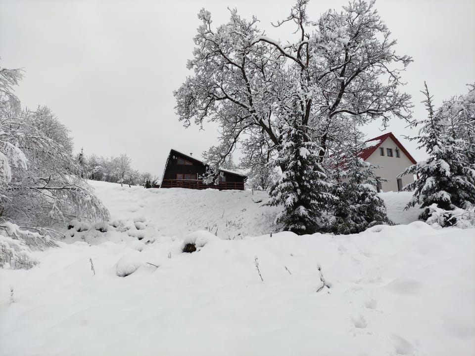 Property building, Natural landscape, Winter