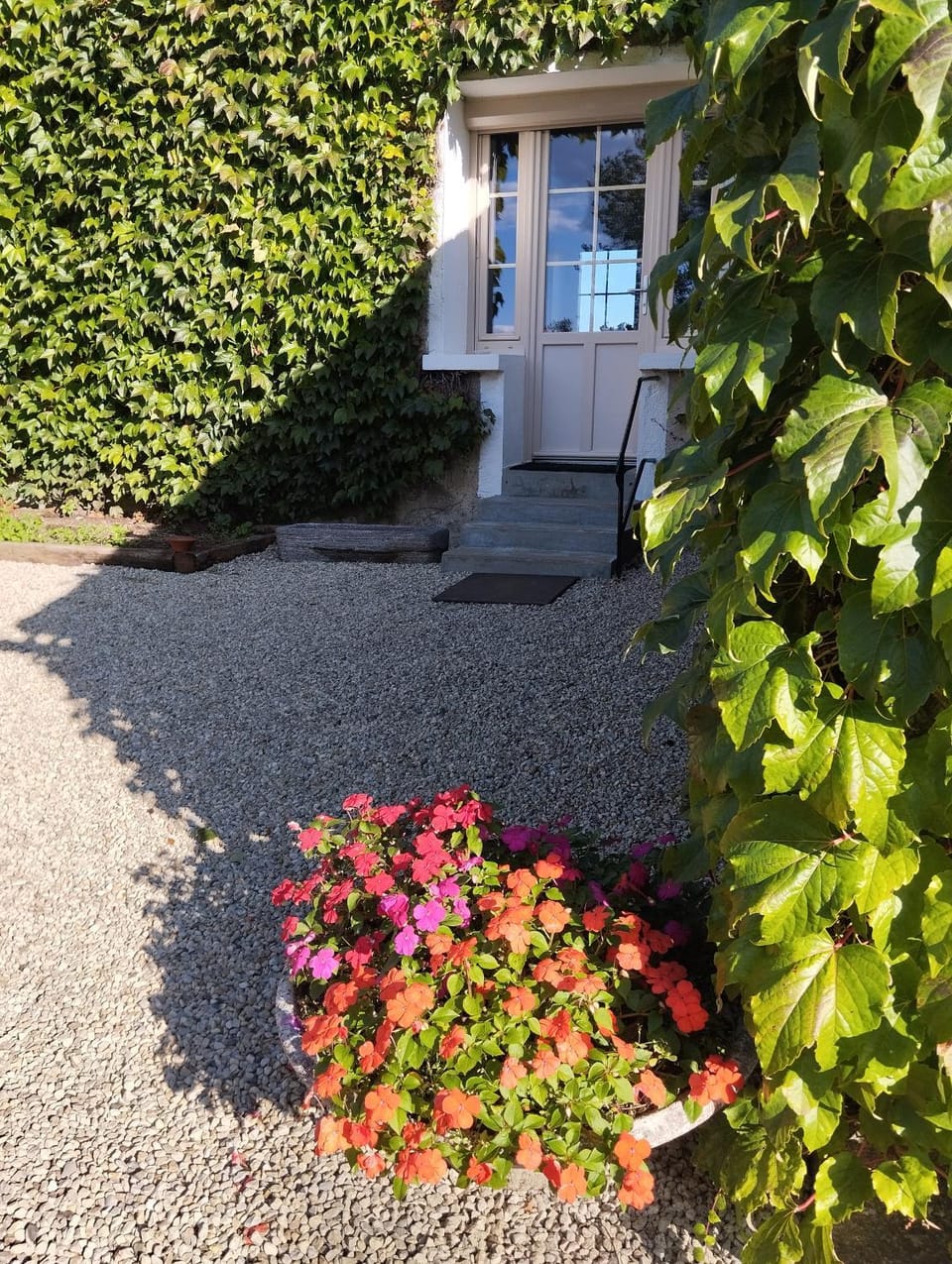 Property building, Garden view