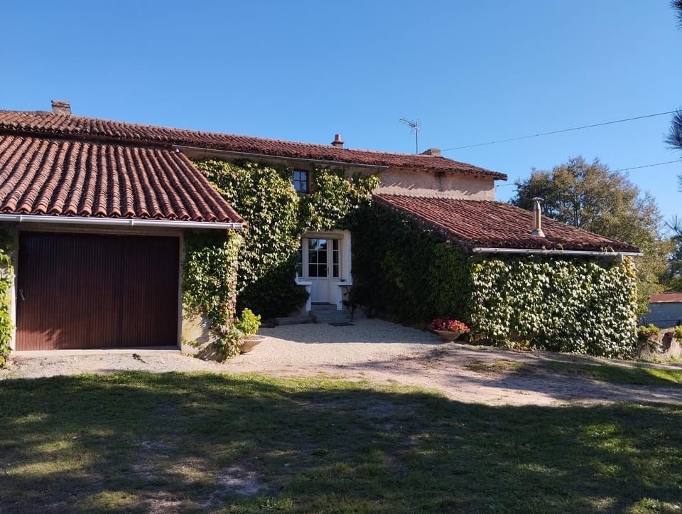 Property building, Garden view
