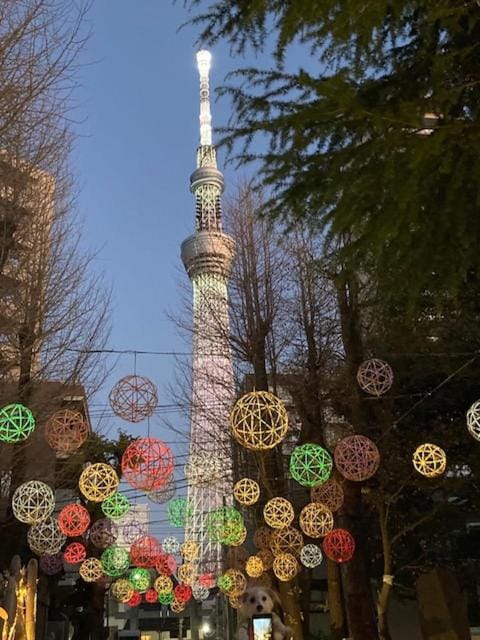 Sky Tree INN (晴樹宿）stay ASAKUSA Apartment in Japan