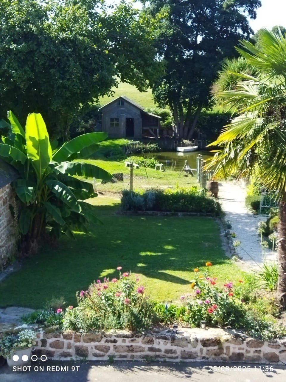 Garden view