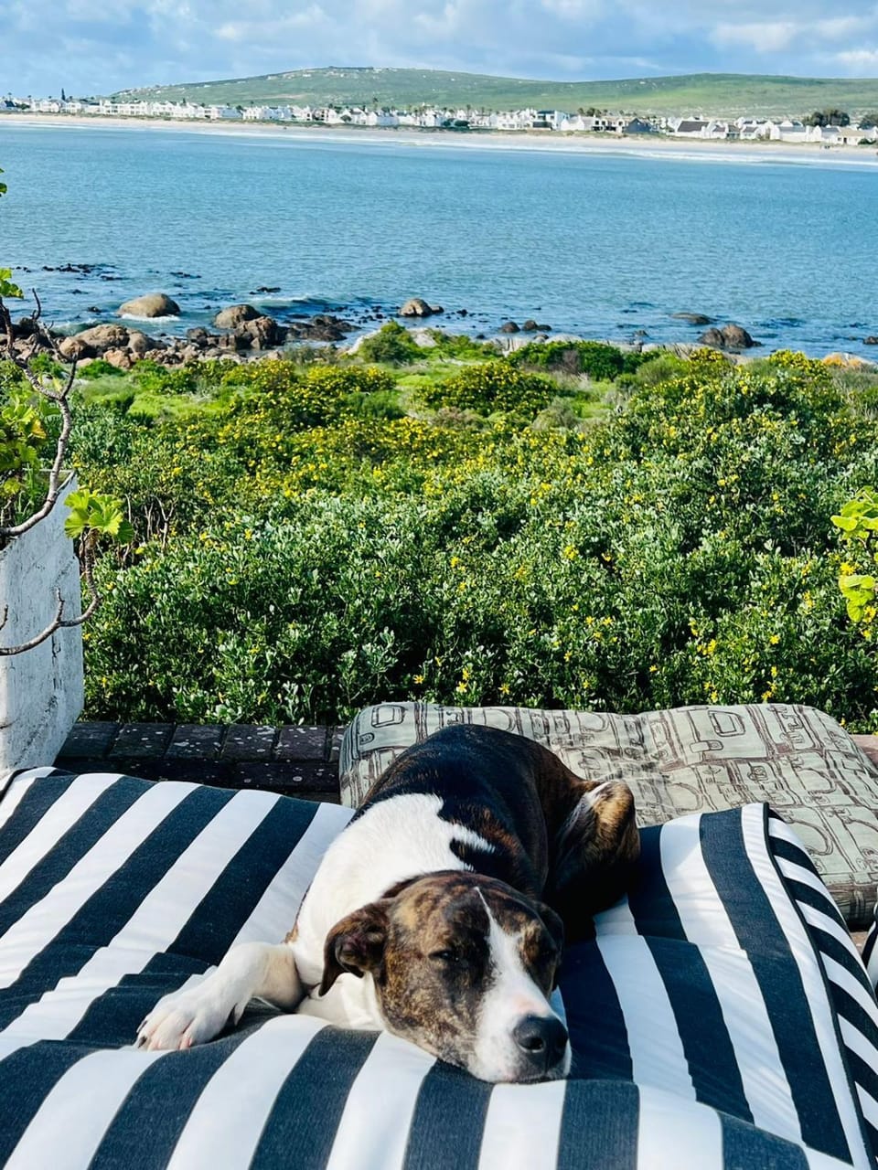Balcony/Terrace, Beach, Pets, Sea view