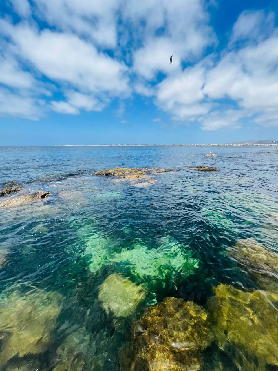 Natural landscape, Sea view