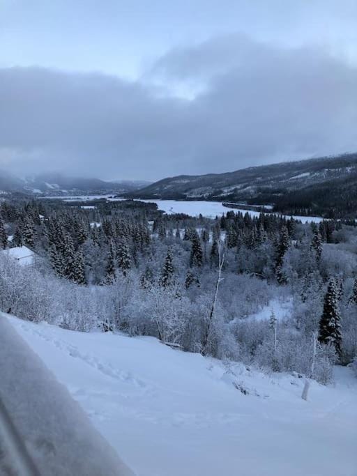 Natural landscape, Winter, Mountain view