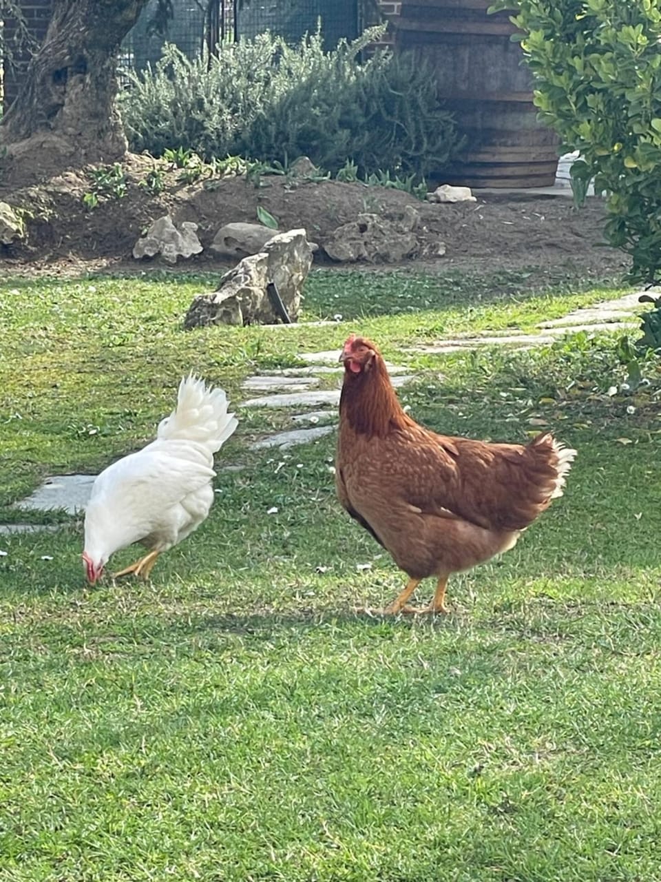 La valle incantata Bed and Breakfast in Piedmont