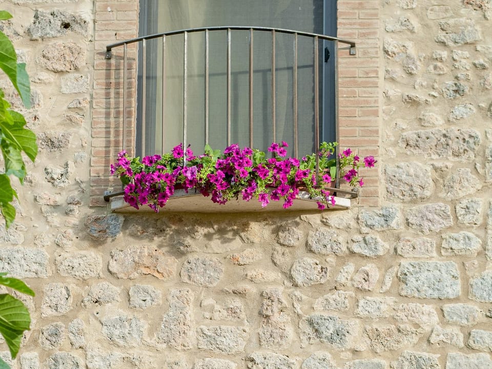 Property building, Facade/entrance, Decorative detail
