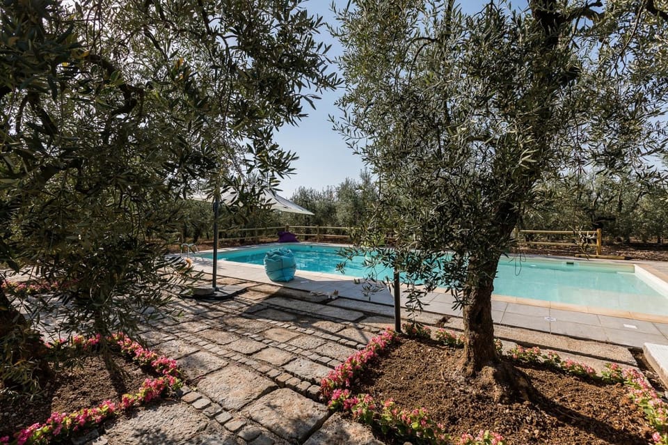 Pool view, Swimming pool