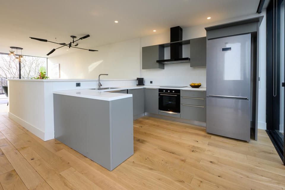 Kitchen or kitchenette, dishwasher, minibar, pet friendly, stove