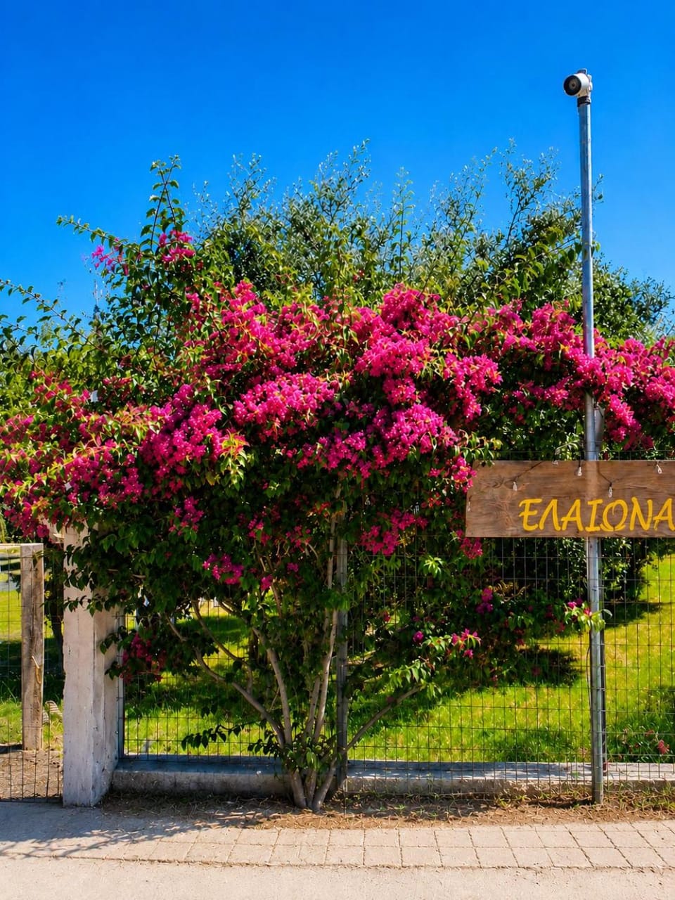 ELeonas apartments Nea Roda Apartment in Halkidiki