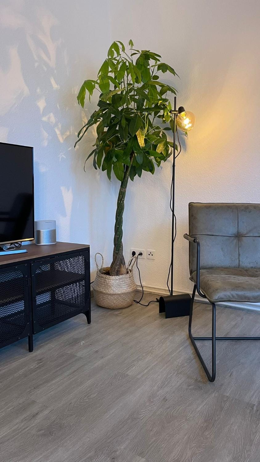 Communal lounge/ TV room, TV and multimedia, Seating area