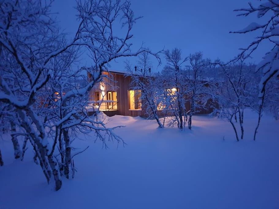 Property building, Night, Natural landscape, Winter