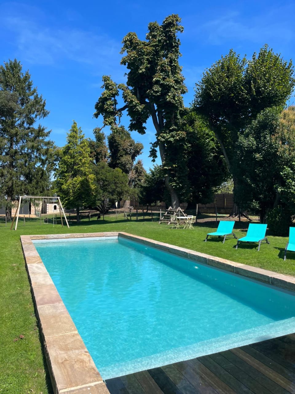Natural landscape, Garden, Garden view, Pool view, Swimming pool, Swimming pool, sunbed
