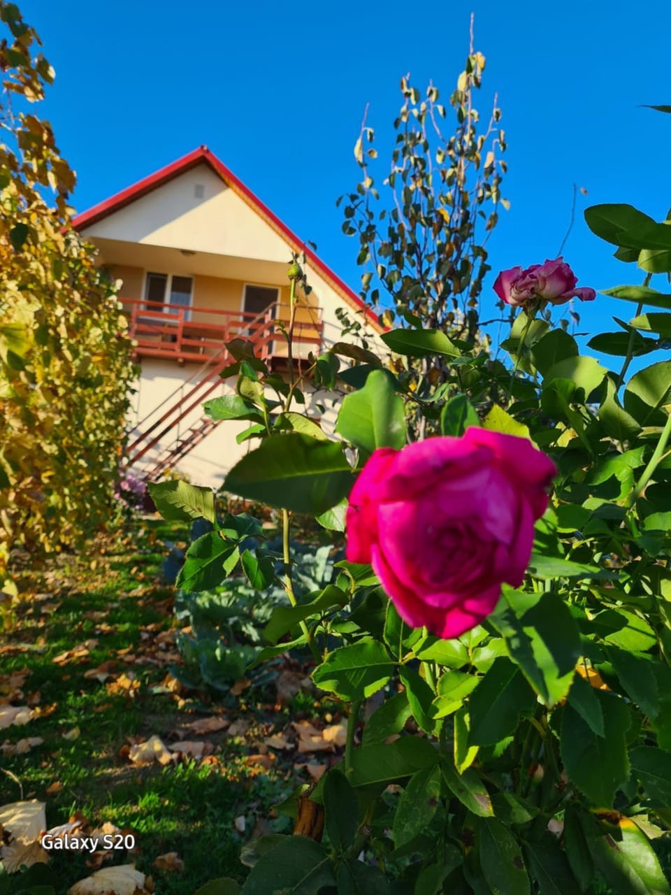 Casa Lumi Bed and Breakfast in Moldova