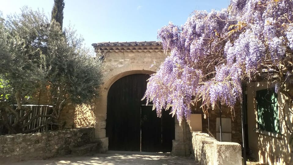 Spring