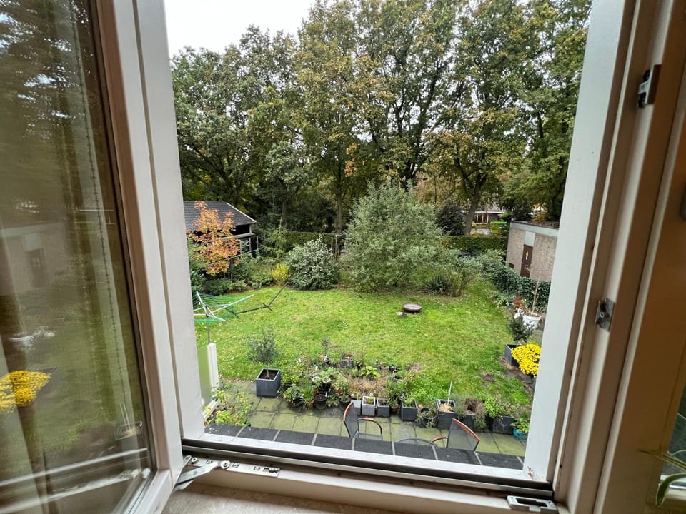 Day, Garden, View (from property/room), Garden view