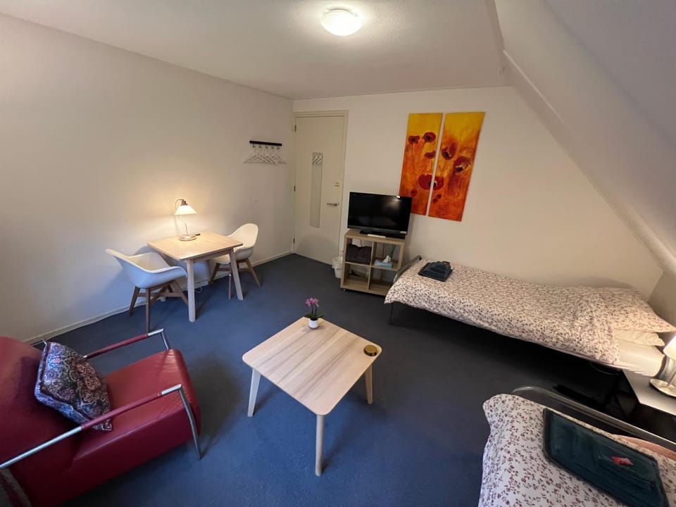 Communal lounge/ TV room, Bed, TV and multimedia, Photo of the whole room, hair dresser