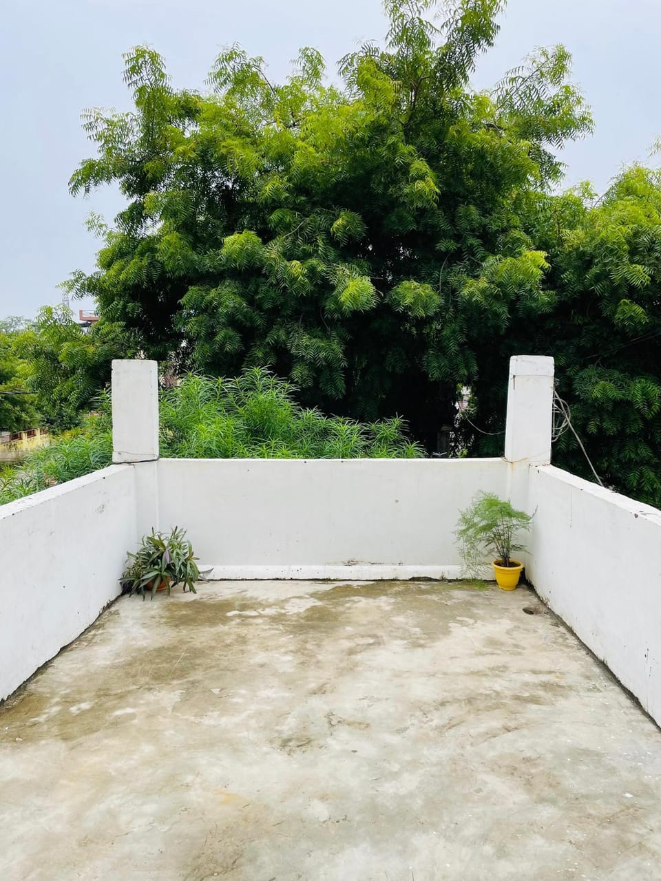 Shree Balaji Homestay Vacation rental in Uttar Pradesh