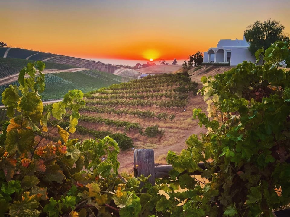 Sirena Vineyard Resort - 3 Bedroom guest house House in Sierra Nevada