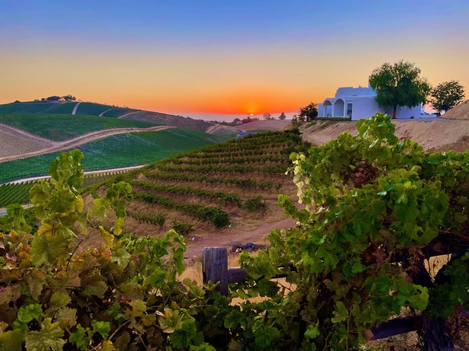 Sirena Vineyard Resort - 3 Bedroom guest house House in Sierra Nevada