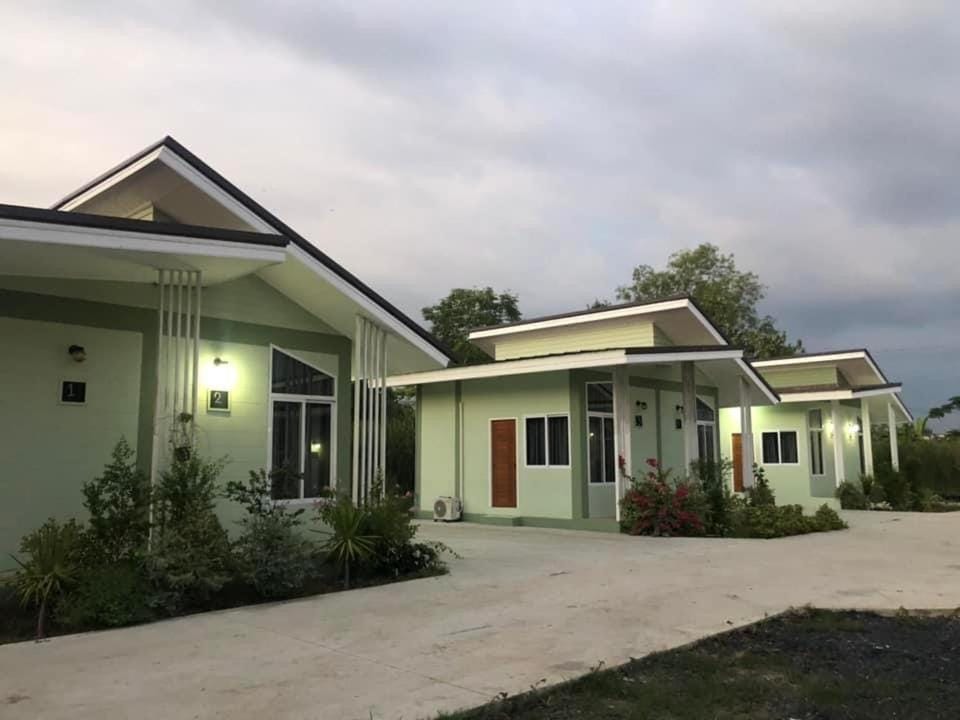 Property building, Day, Garden, Garden view