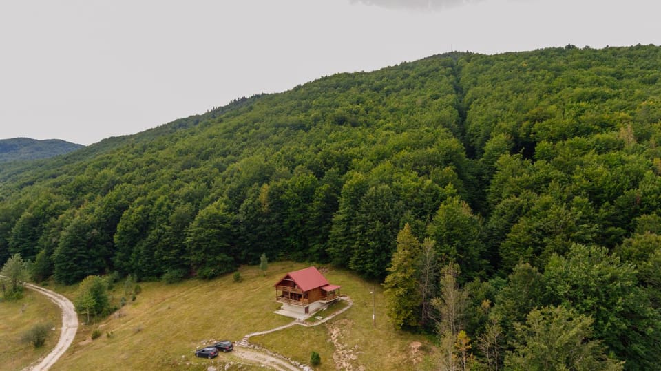 Natural landscape
