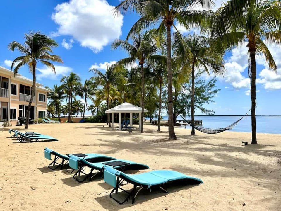 Sea view, sunbed
