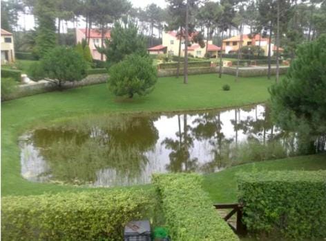 Lake view