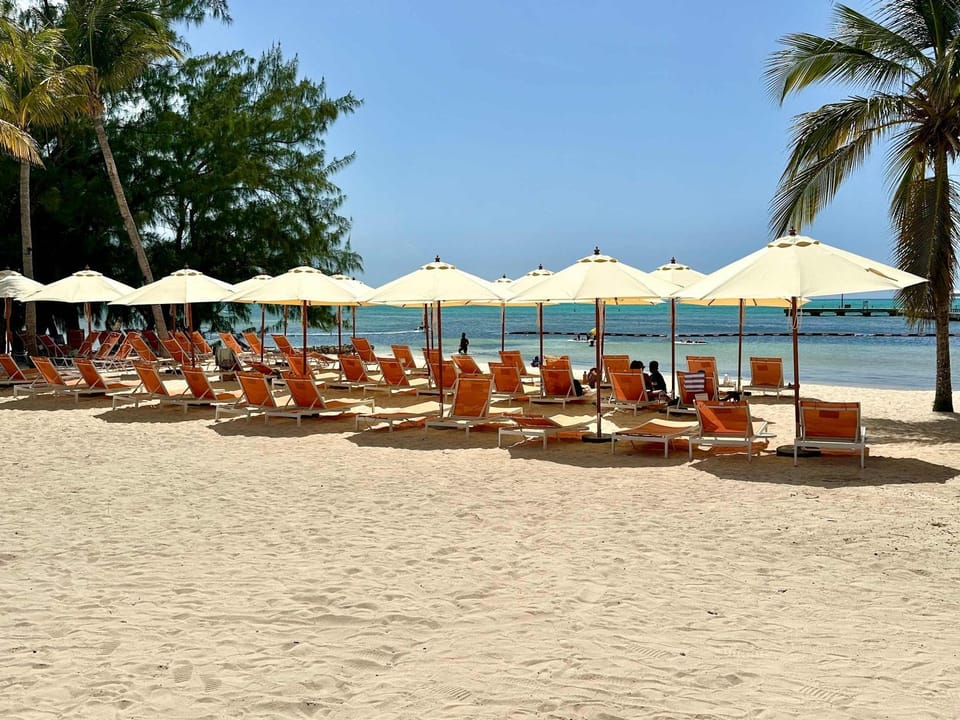 Sea view, sunbed